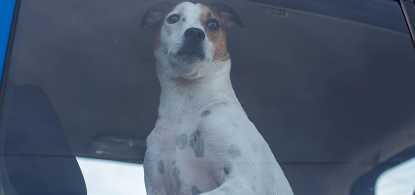 Car Lockout Solutions in Rancho Calaveras, California